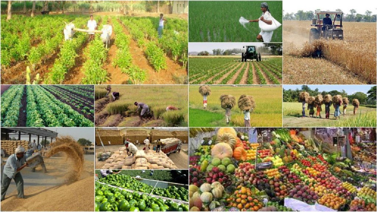 بخشودگی سود و جریمه دیر کرد وام کشاورزان خسارت دیده در خراسان شمالی