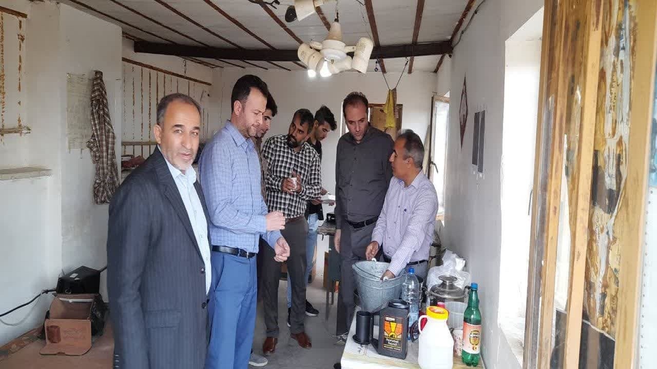 خرید تضمینی کلزا از کشاورزان شهرستان آبیک