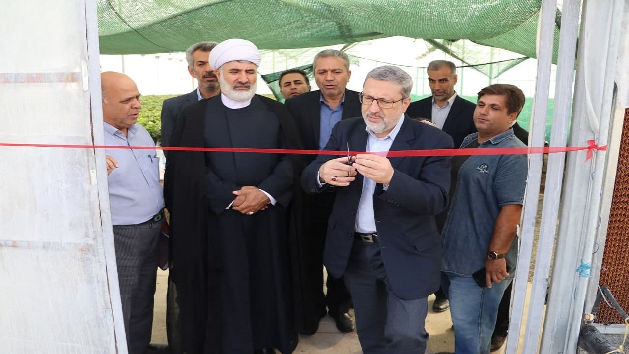 افتتاح یک واحد گلخانه سبزی و صیفی در آبیک