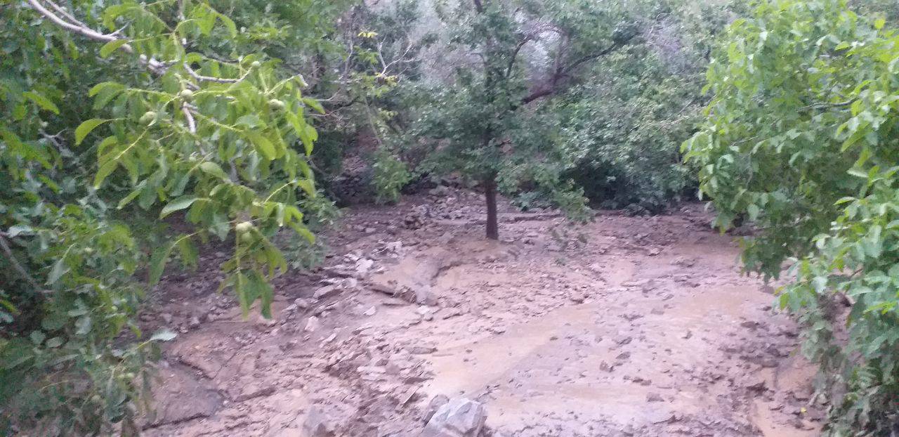 روایتی از  اثرات سیل در مناطق روستایی کوهبنان