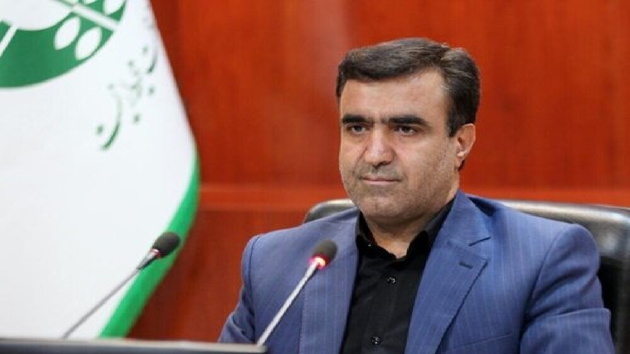 تهیه طرح اجرایی گردشگری پایدار تالاب شادگان با دستور رئیس جمهور