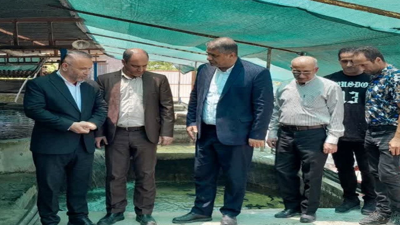 حمایت کامل شیلات از پرورش ماهیان خاویاری