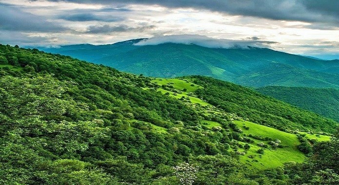 زبانه&zwnj;های آتش در کمین جنگل&zwnj;های زاگرس/ قصه تکراری نبود بالگرد و دست خالی جنگلبانان لرستان
