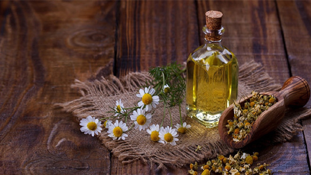 ارزآوری مناسب با صادرات ۱۴ میلیون دلاری محصولات طبیعی و سنتی