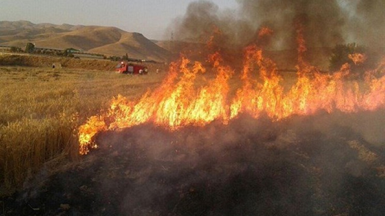 مهار آتش سوزی در مزارع گندم ۲ روستای خرم‌آباد
