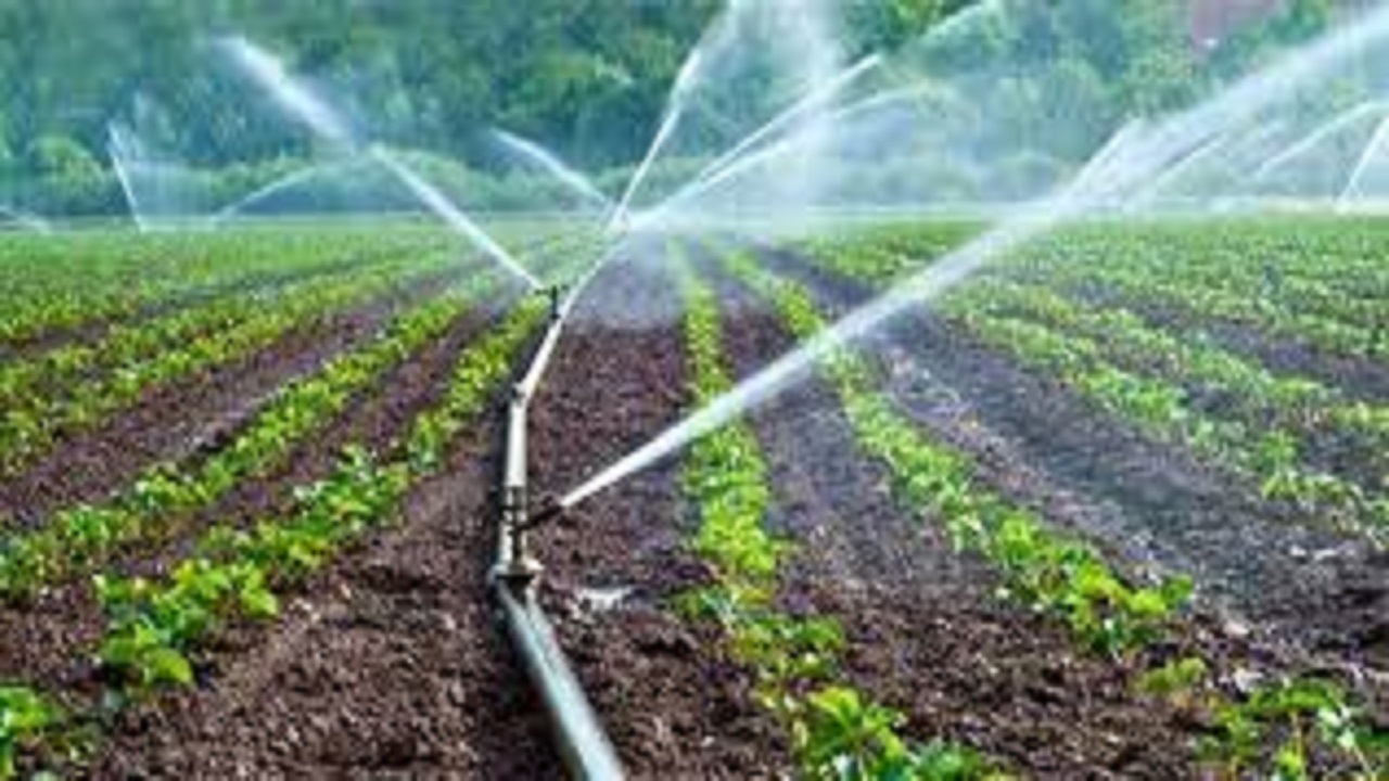 اجرای سیستم آبیاری نوین در ۱۳۶۰ هکتار از اراضی
