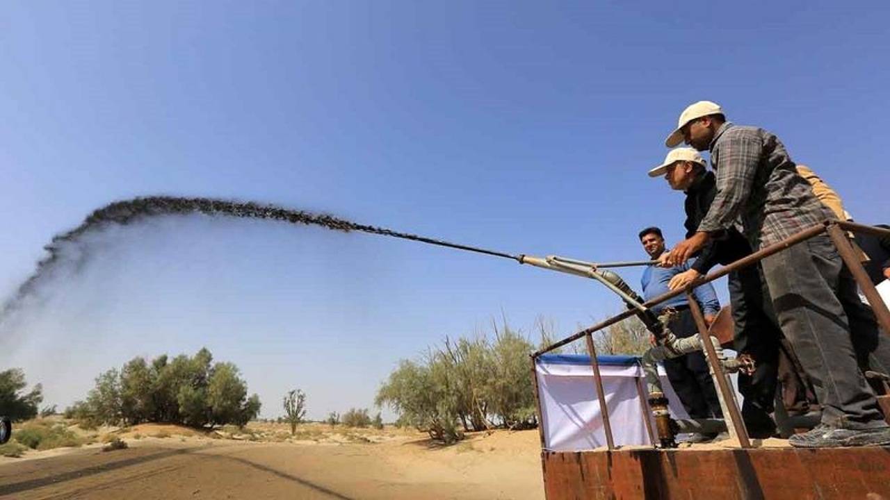 انجام ۳۵۰۰ هکتار نهال کاری و ۵۲۰۰ هکتار مالچ پاشی در استان کرمان