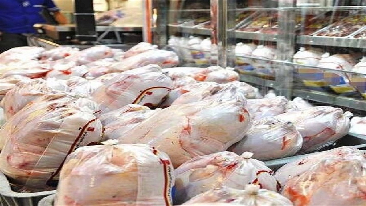 مدیران جهاد کشاورزی و فرمانداران نیاز روزانه مرغ را اعلام کنند