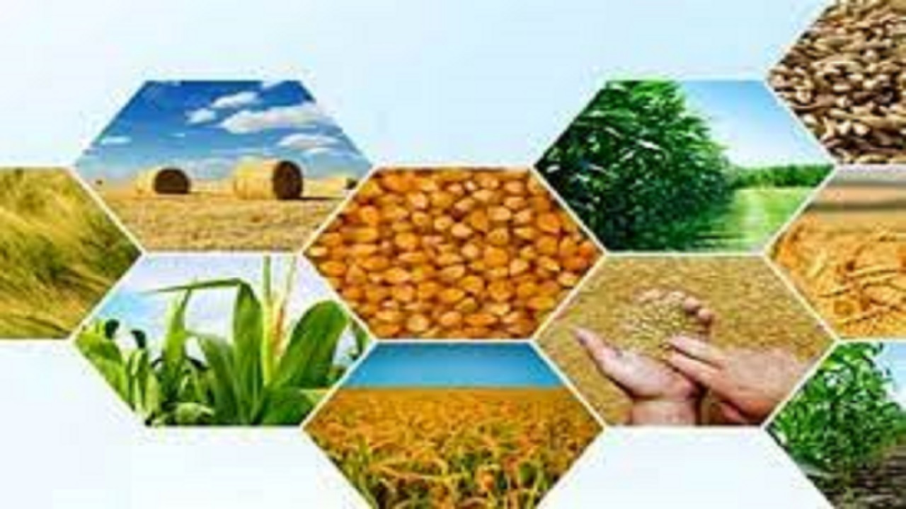 راه اندازی سامانه تامین و توزیع کالا در آذربایجان غربی
