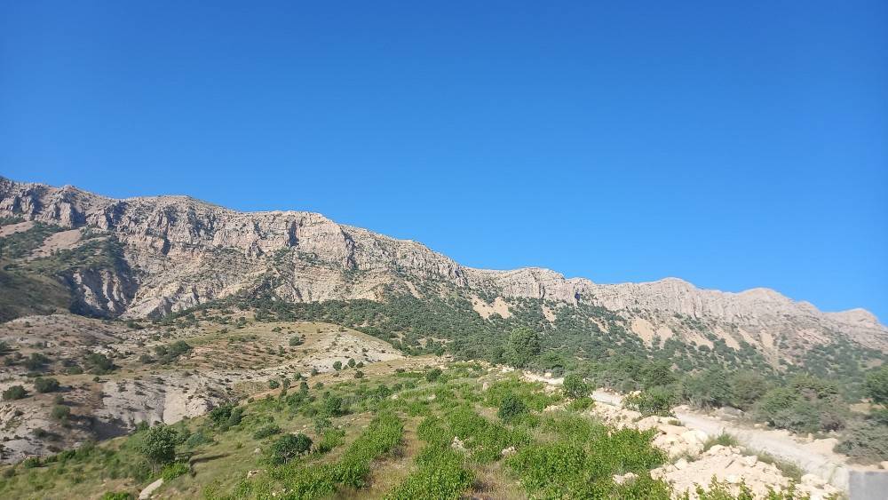 جاذبه گردشگری در بهار