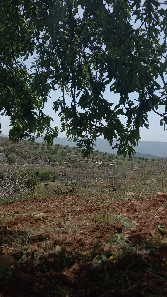 جاذبه گردشگری روستایی