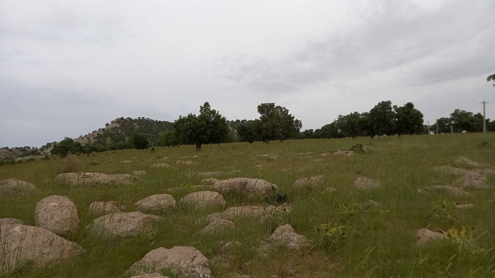 جاذبه گردشگری فارس