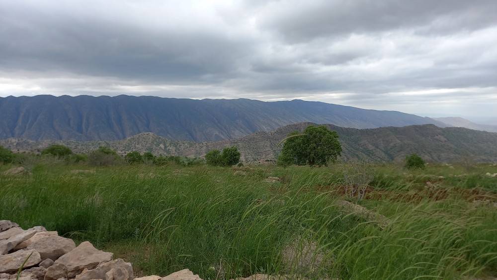 مناظر بهاری در روستا