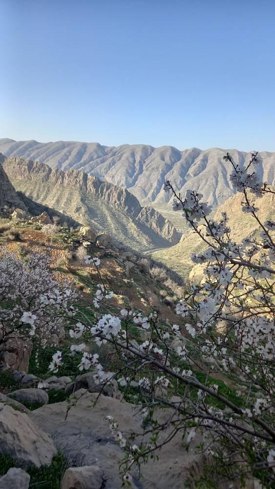 جاذبه های گردشگری