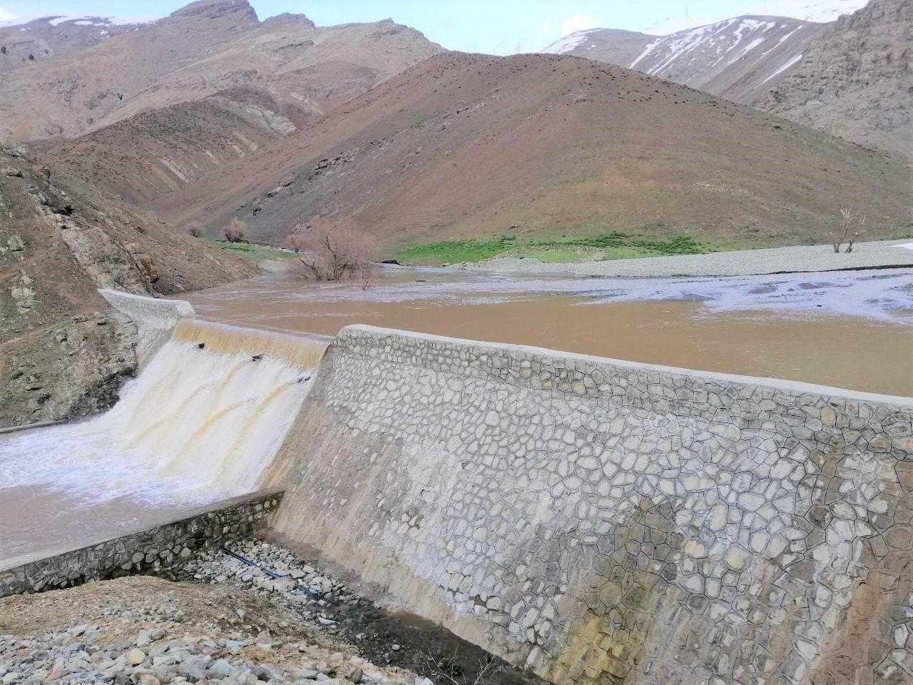 هرکسی ساز خود را می زند