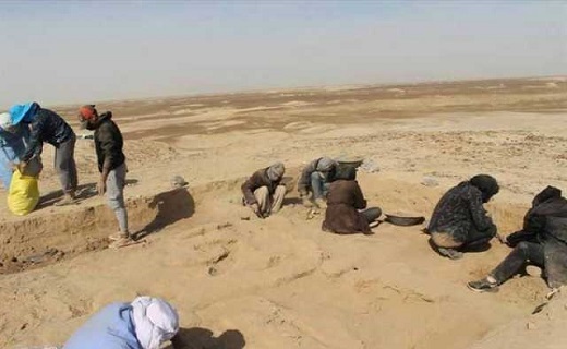 کاشفان