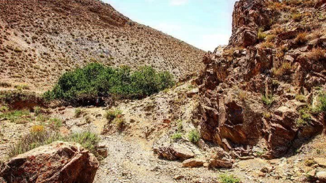 لذت سفر به روستای اقرعلیا در یک روز بهاری + تصاویر