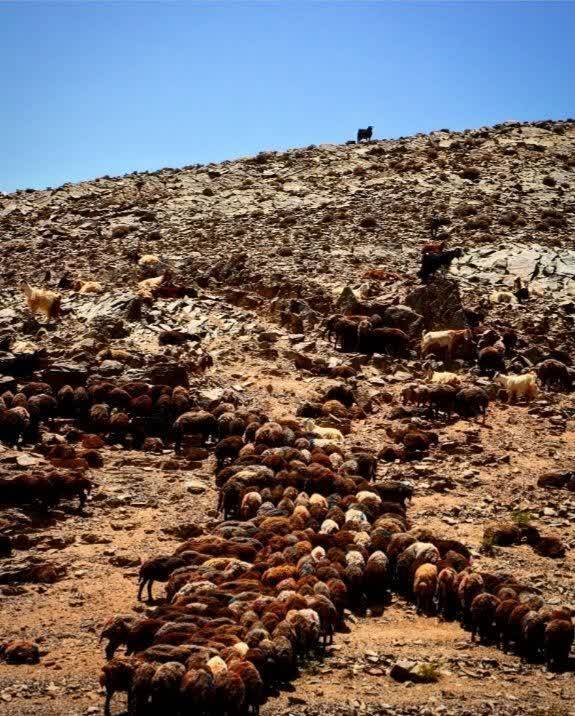 مناطق گردشگری روستایی