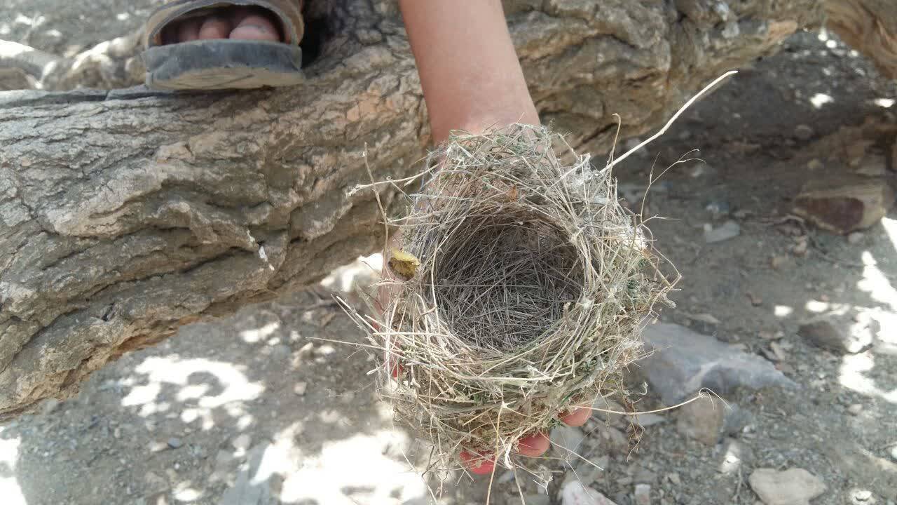 مناظر روستایی
