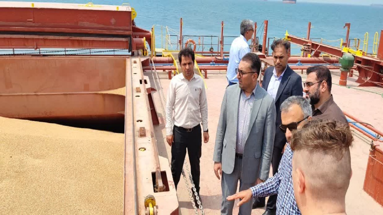 صدور دستور قضایی برای ترخیص محموله ۷۰ هزار تنی گندم/ معطلی ۸ ماهه کشتی خارجی بر روی دریا + عکس و فیلم