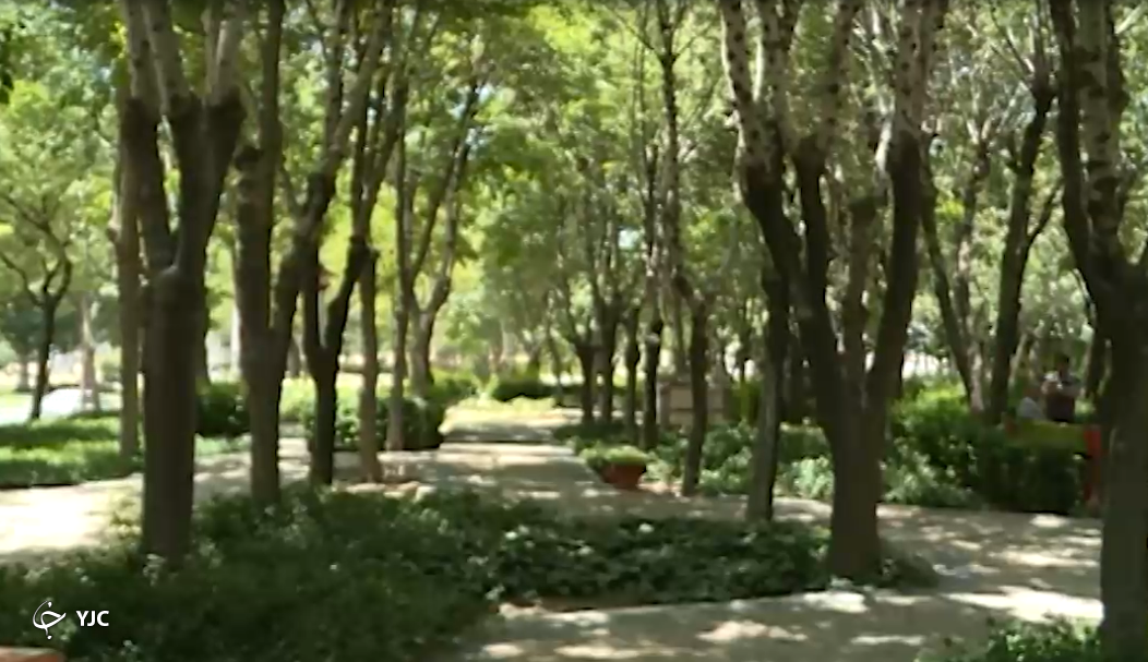 شروع سمپاشی بهاره در بوستان‌های اراک