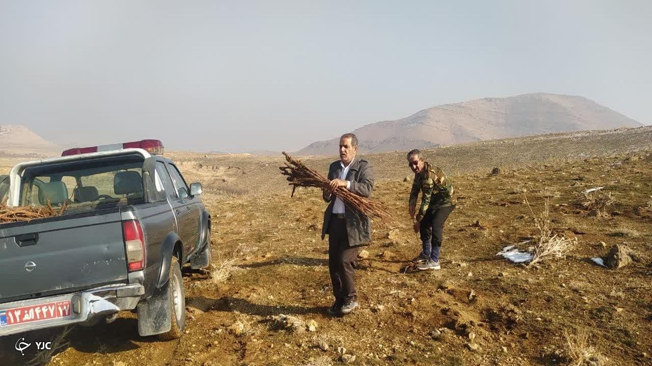 باز پس گیری بیش از ۴۰ هکتار اراضی ملی از متصرفان در مهاباد