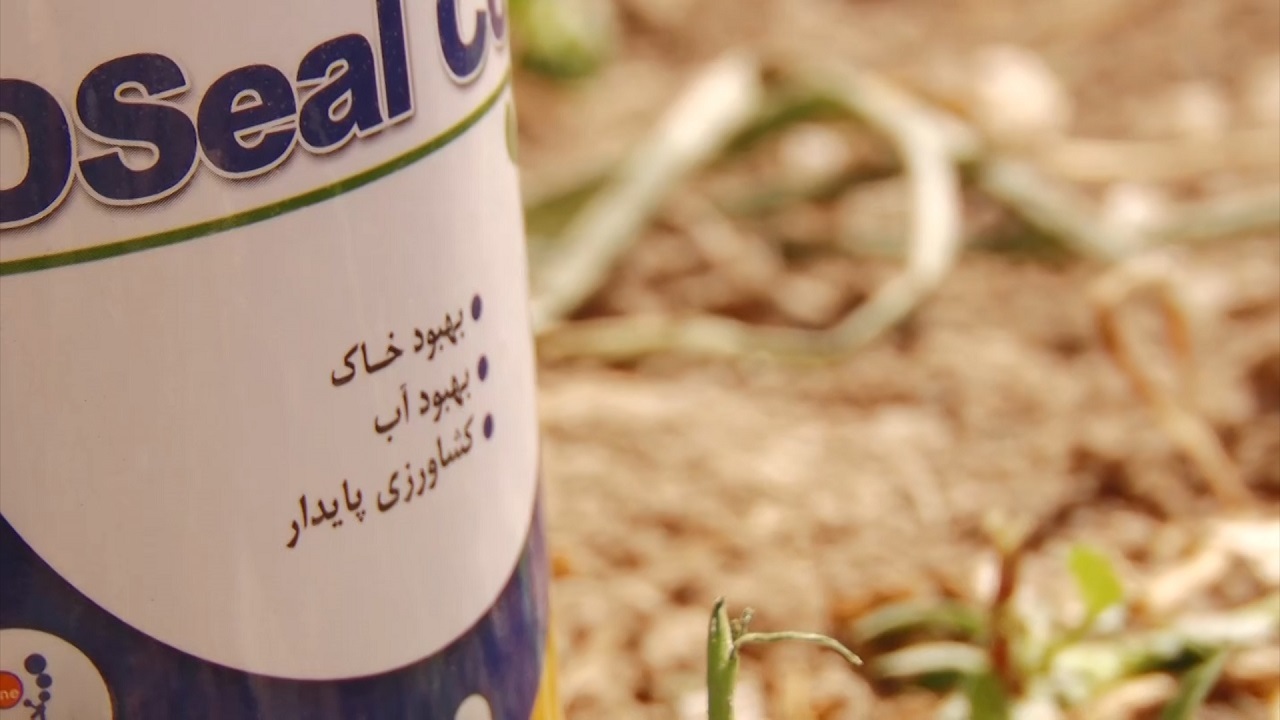 ساخت محلول بایوجمی مایع برای افزایش بهره وری در زمین‌های شور در اصفهان