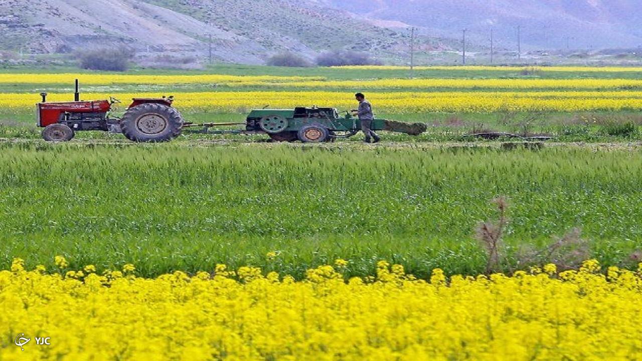 اسناد ۷۲ پلاک از اراضی مهاباد برای کشاورزان صادر شد