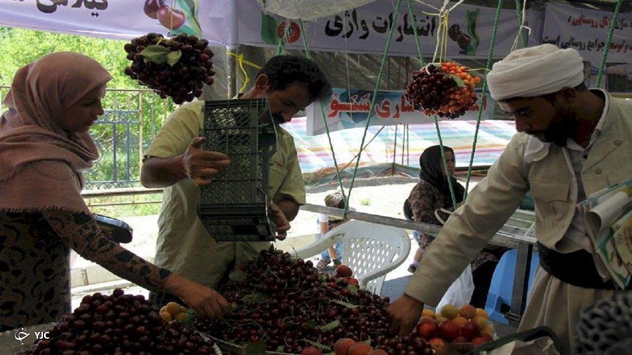 ششمین دوره جشنواره گیلاس اشنویه برگزار می‌شود