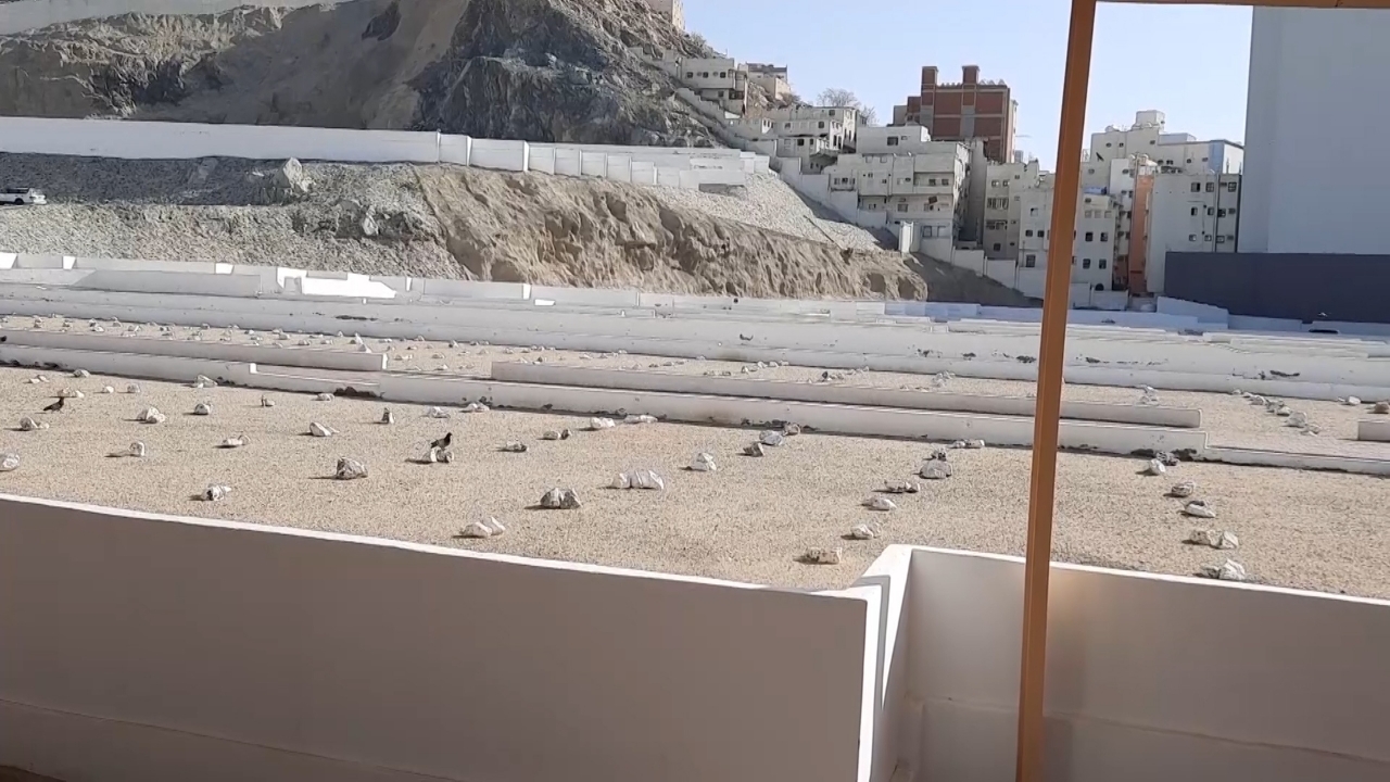 زیارت حجاج چهارمحال و بختیاری از غار حرا + فیلم