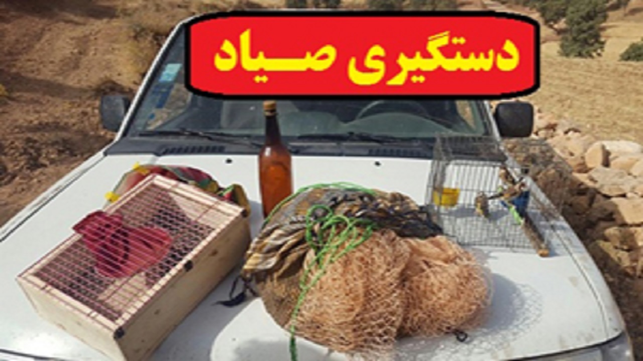 دستگیری شبانه صیادان لابستر در تالاب خروسان
