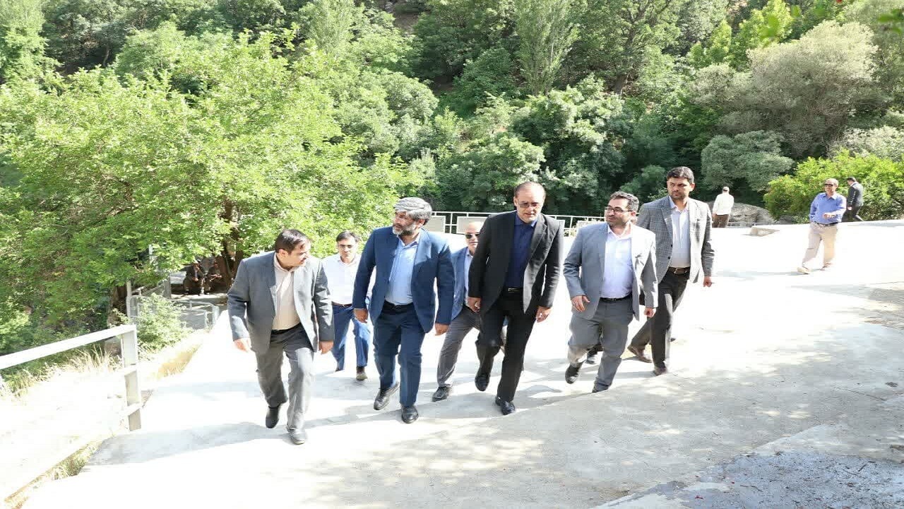 برخورد قضایی با جنگل خواری و غارت درختان