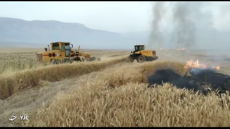 ۲۳۰ هکتار از کشتزار‌های آبیاری شده با فاضلاب در شیراز امحاء شد