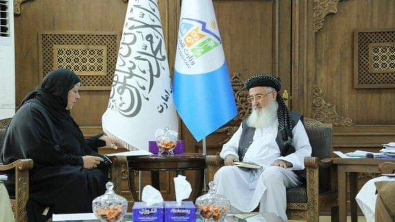 از سر گیری فعالیت اوچا در غور و دایکندی