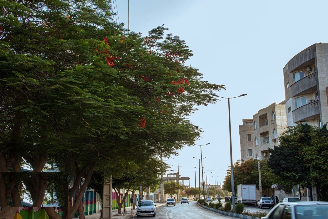 بوشهرِ بهاری