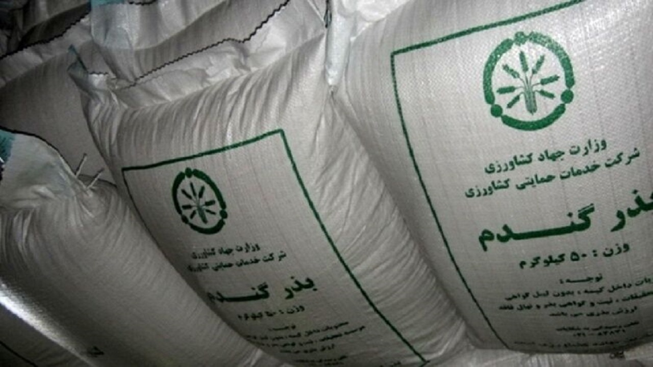 خرید ۴۱۸ تن بذر گندم و جو از کشاورزان قزوین