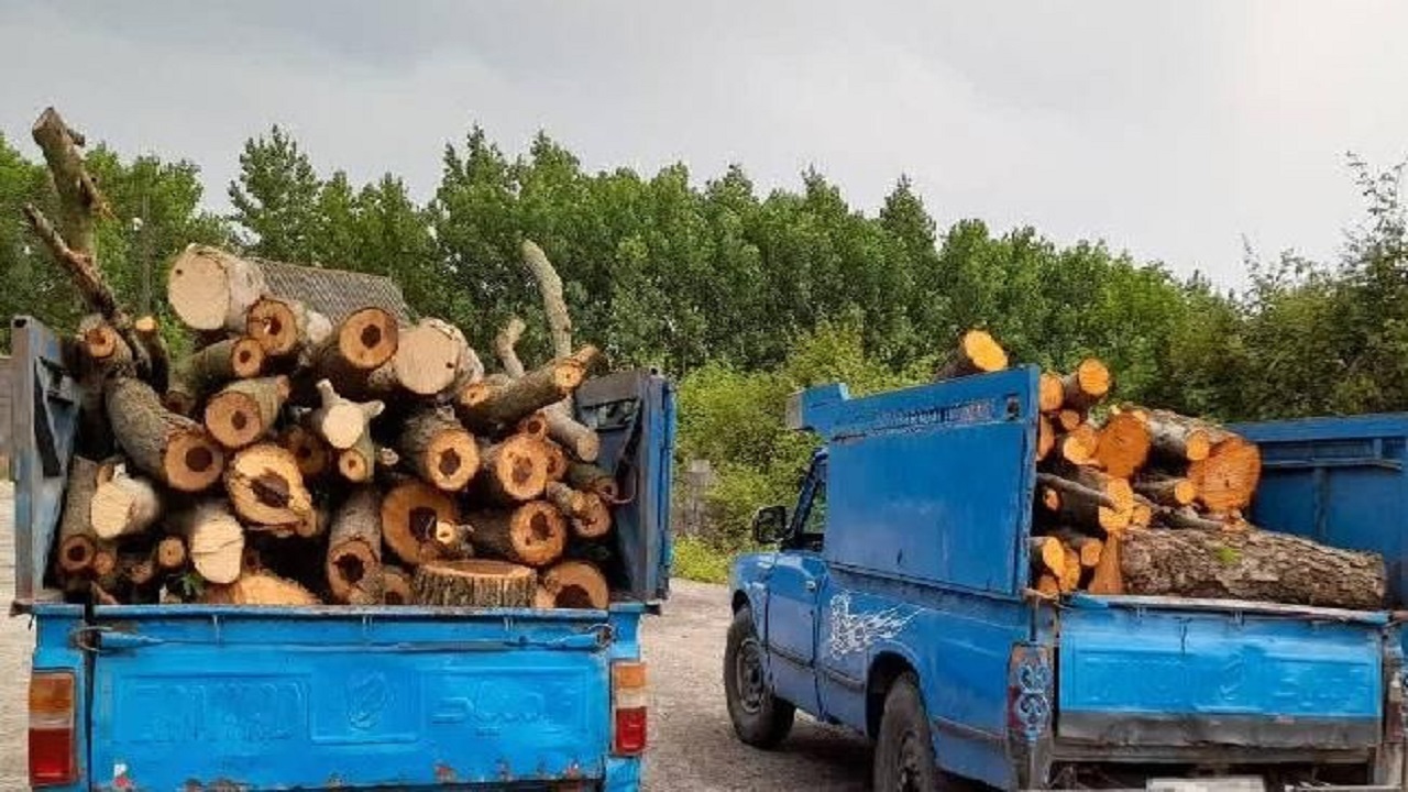 کشف ۹ تن چوب قاچاق در خمام