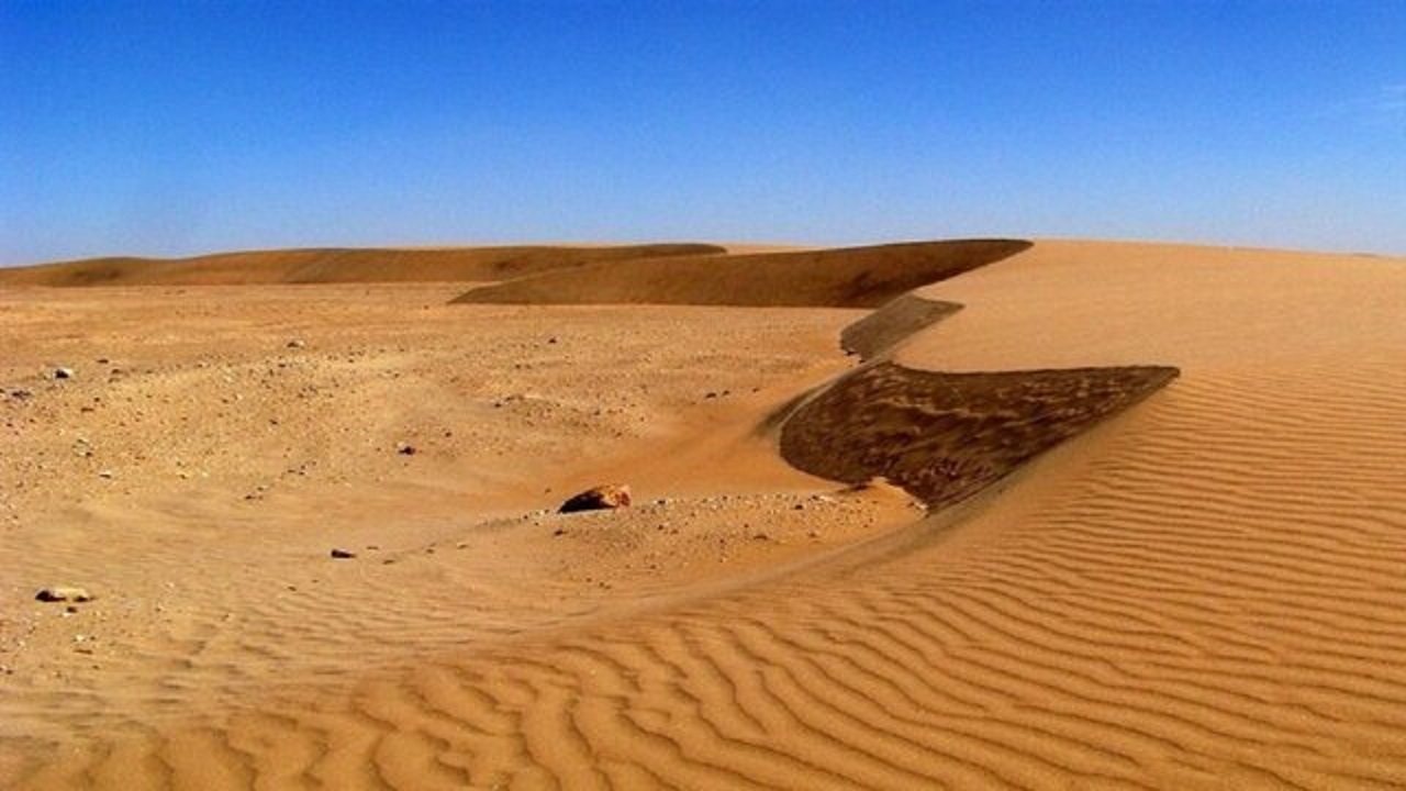 سرانه بیایان در سیستان و بلوچستان ۱.۸ هکتار است