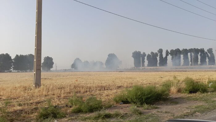 سوزاندن مزارع کشاورزی پس از برداشت سوزاندن مزارع کشاورزی پس از برداشت