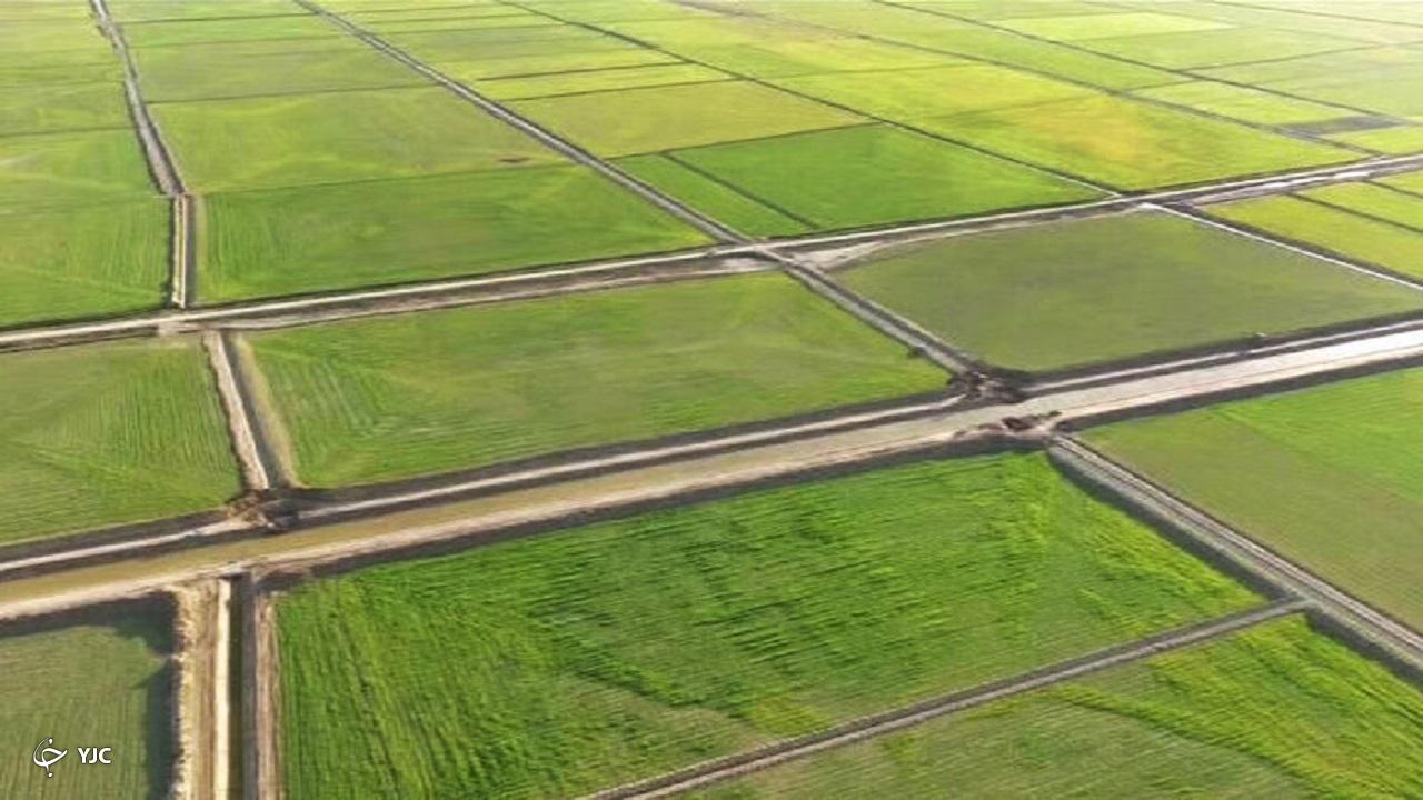 صدور سند برای بیش از ۵۰۰ هزار هکتار اراضی کشاورزی آذربایجان غربی محقق شد