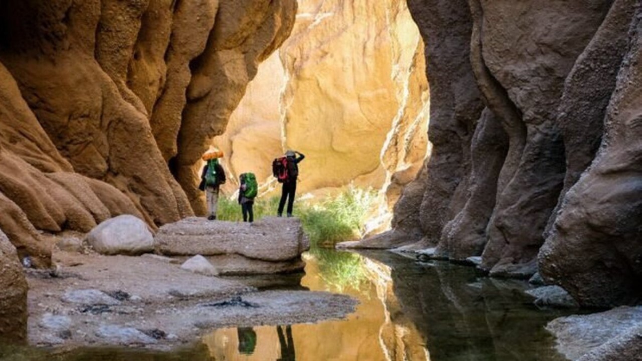 افزایش ۳۶ درصدی گردشگران خارجی در استان خراسان جنوبی