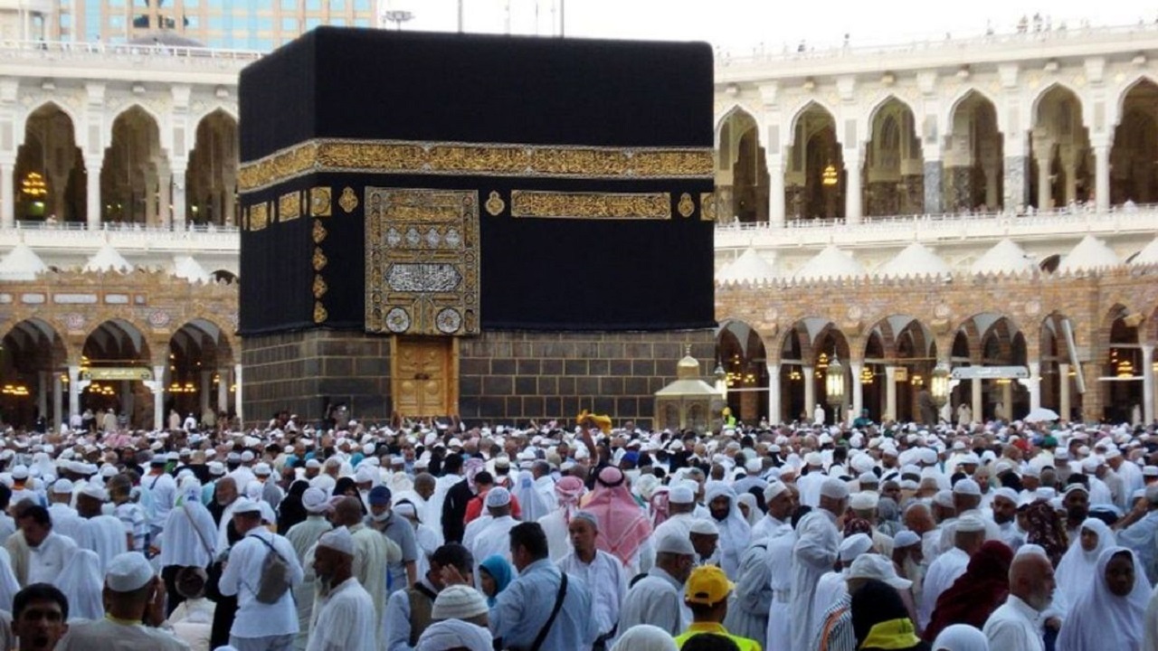 بیش از ۷۷ هزار زائر به سرزمین وحی رسیدند