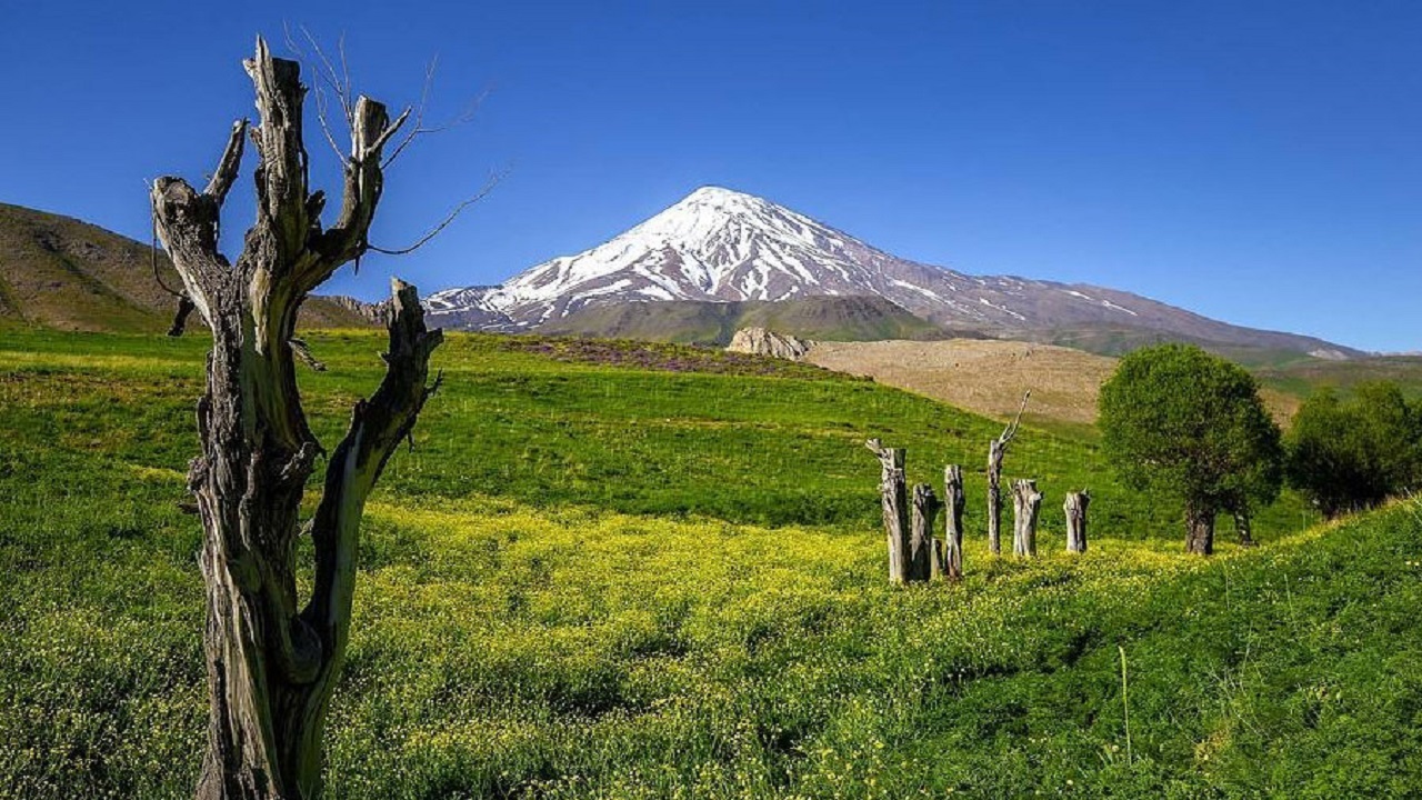 پاسخ مدیرکل اوقاف قزوین به ادعای واگذاری چند صد هکتار زمین به عروس آقای خاموشی