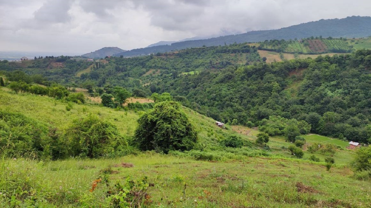 طبیعت بهاری روستای نظام محله مازندران را به تماشا بنشینید + فیلم و تصاویر