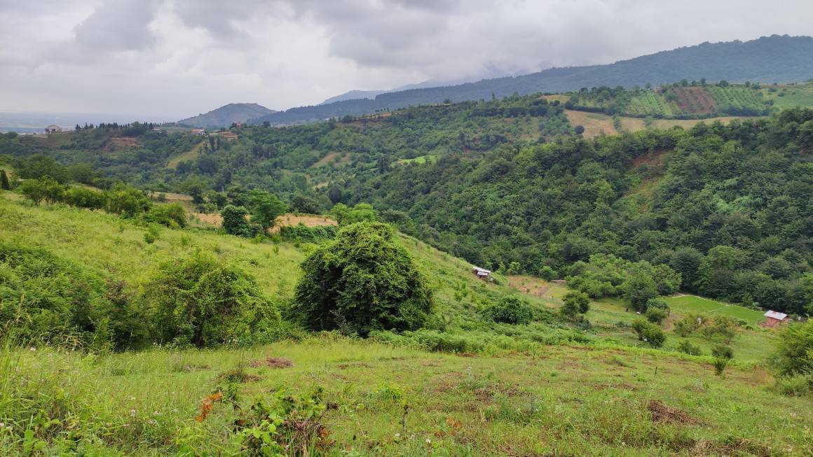 طبیعت روستای نظام محله