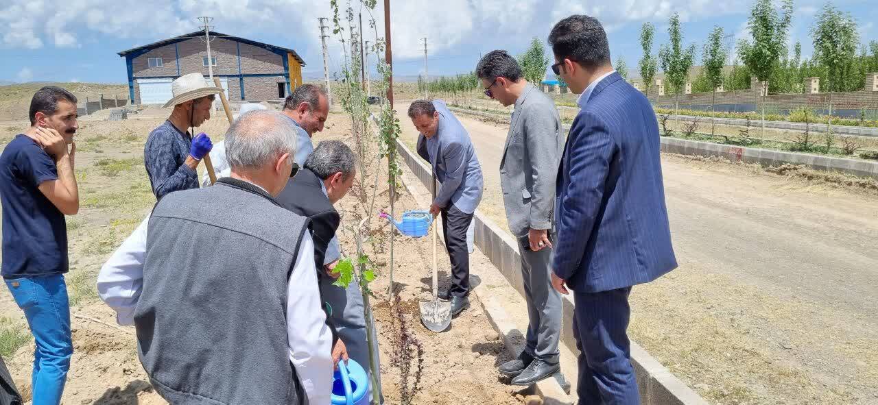آغاز عملیات اجرایی فضای سبز ناحیه صنعتی رضی با مساحت نیم هکتار