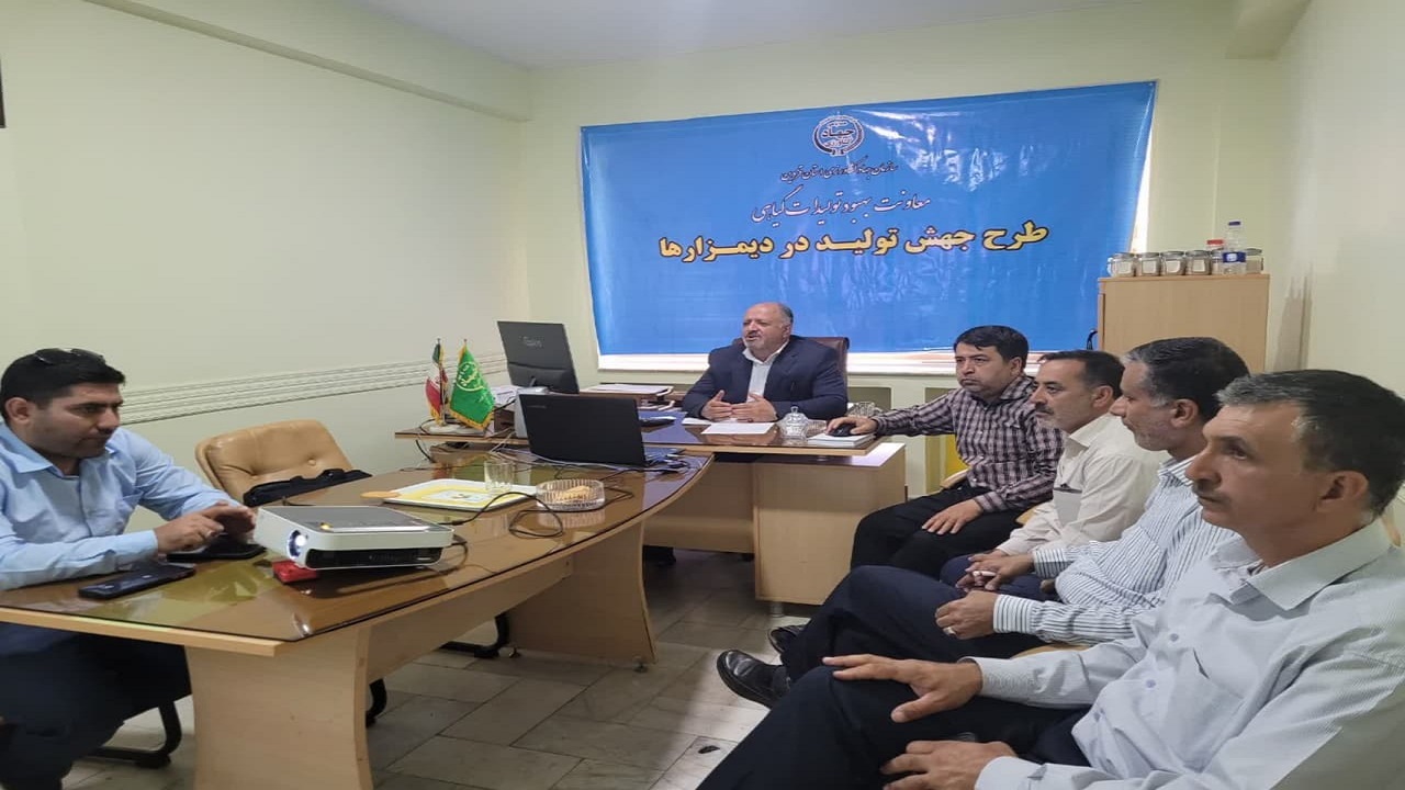 مبارزه با آفت سن گندم در بیش از ۶ هزار هکتار از گندم زار‌های استان قزوین