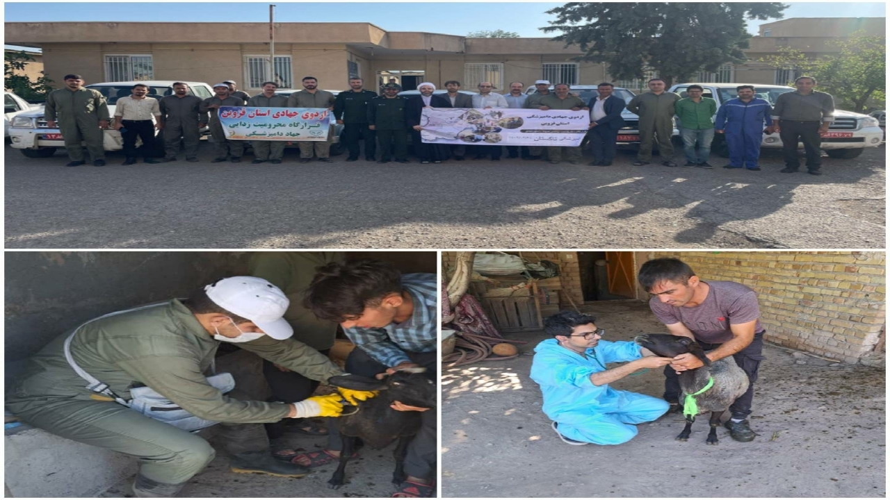 برگزاری اردوی جهادی دامپزشکی در تاکستان