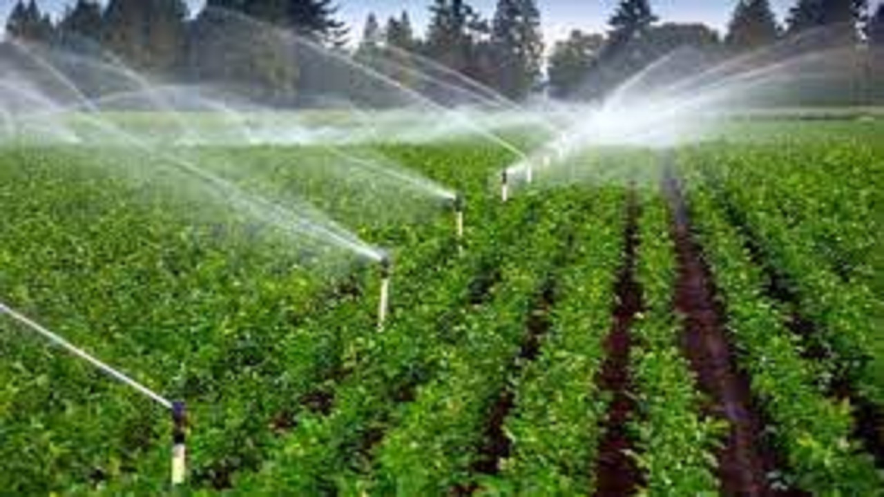 اجرای آبیاری تحت فشار در ۳ هزار هکتار از زمین‌های کهگیلویه