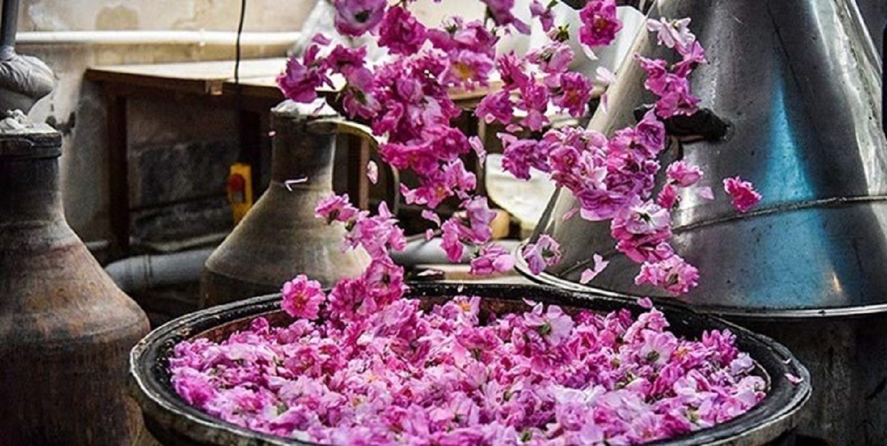 برگزاری جشنواره گلابگیری در شهر مجلسی